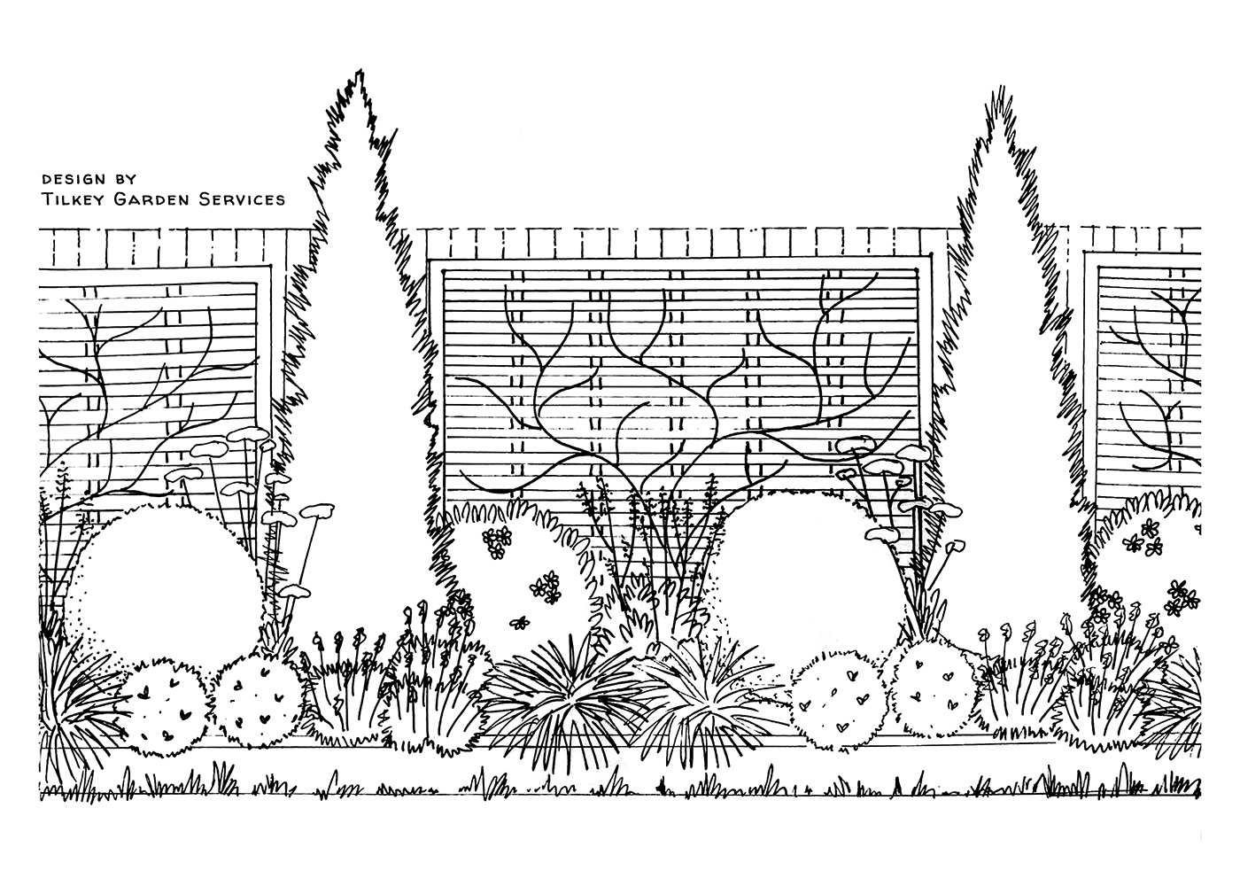 Bespoke Garden Design and Illustration