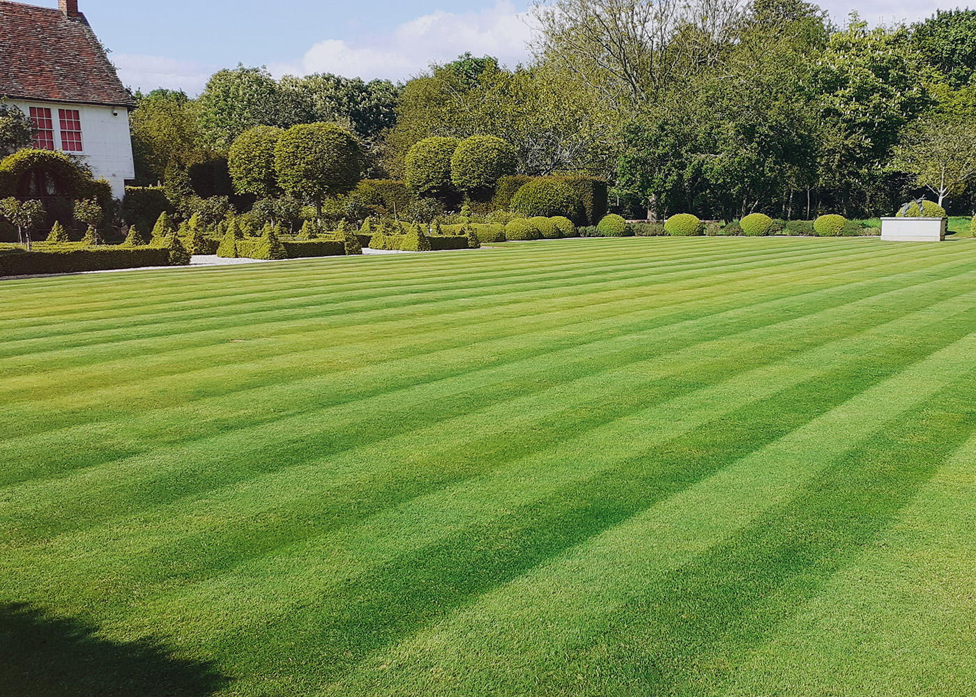 Lawn with stripes